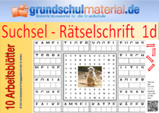 Suchsel-Rätselschrift_1d.pdf